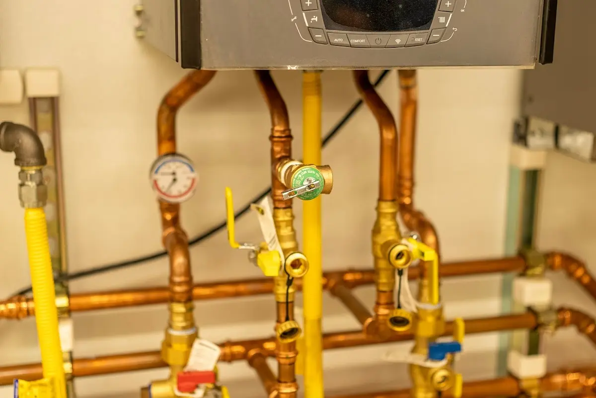 Licensed technician providing Emergency Plumbing for a homeowner in Rehoboth